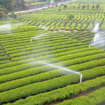 Türbin Tabancası Yağmurlama Bahçe Çiftliği Sulama Makinesi